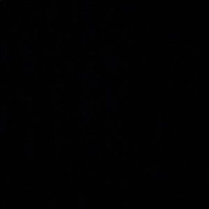 Meet your Posher, Danny